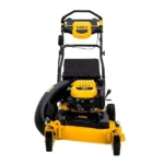 DEWALT 28 in. 224cc PowerAdapt RWD Self-Propelled 3-in-1 Gas Lawn Mower